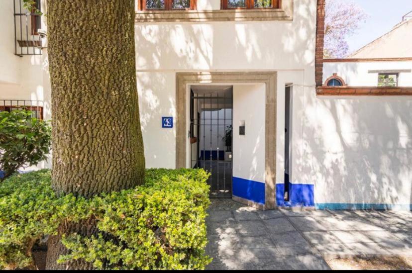 Siete Puertas Coyoacan メキシコシティ エクステリア 写真